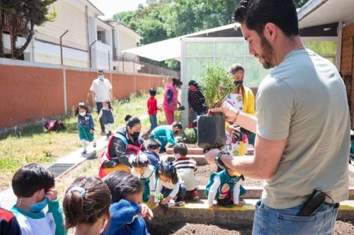 La educación ecológica empieza en las escuelas: líder del PVEM, Pepe Couttolenc